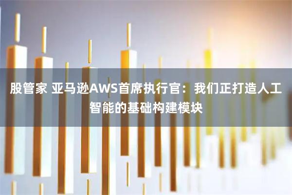 股管家 亚马逊AWS首席执行官：我们正打造人工智能的基础构建模块