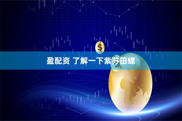 盈配资 了解一下紫苏田螺