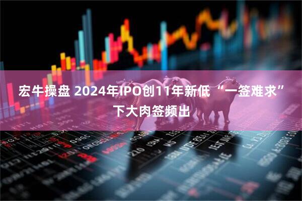 宏牛操盘 2024年IPO创11年新低 “一签难求”下大肉签频出