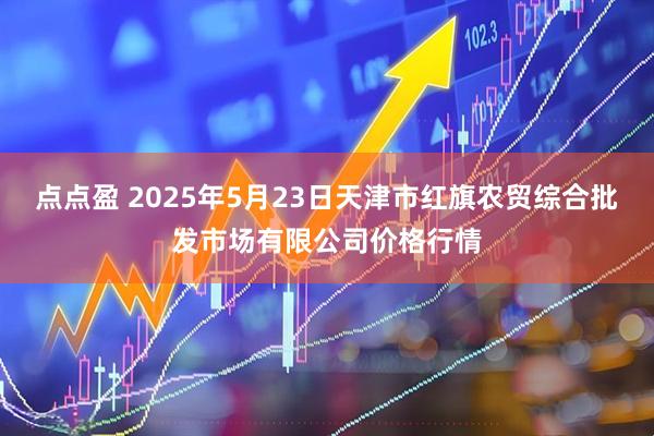 点点盈 2025年5月23日天津市红旗农贸综合批发市场有限公司价格行情
