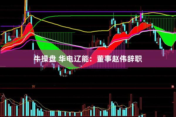 牛操盘 华电辽能：董事赵伟辞职
