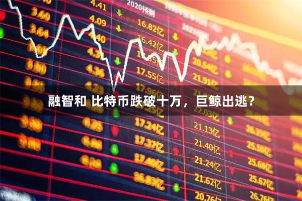 融智和 比特币跌破十万，巨鲸出逃？