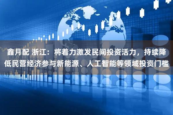 鑫月配 浙江:将着力激发民间投资活力,持续降低民营经济参与新能源、人工智能等领域投资门槛